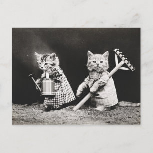 Carte Postale Kitties jardinage   Kitty avec Rake