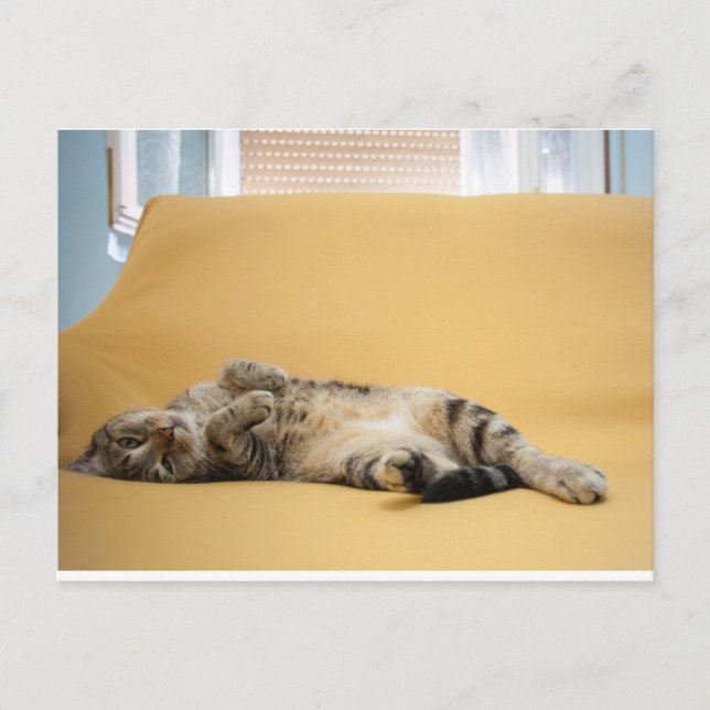 Carte postale Kitty (Devant)