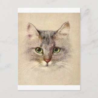 Carte Postale Kitty