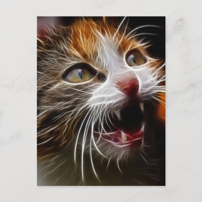 Carte Postale Kitty a faim (Devant)