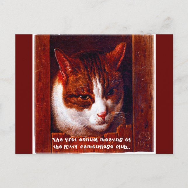 Carte Postale "Kitty camouflage club" (Devant)