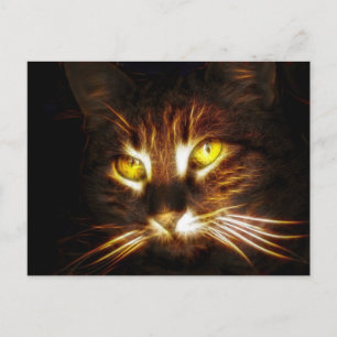 Carte postale Kitty Cat