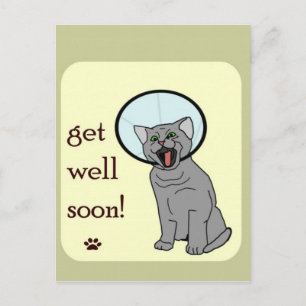 Carte Postale Kitty Chat Va Bien Bientôt