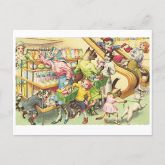Carte Postale Kitty Chats dans une épicerie, Chats en Vêtements