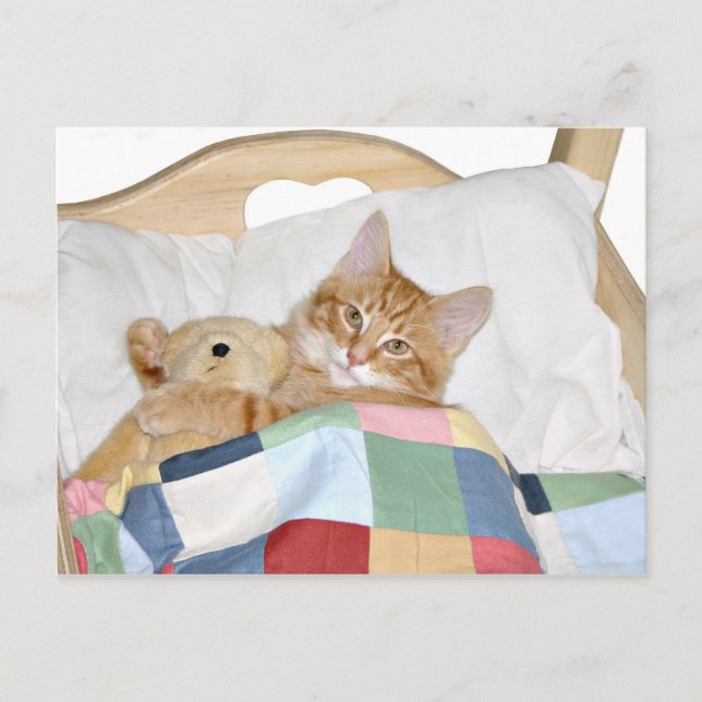 Carte Postale Kitty dort avec Teddy (Devant)