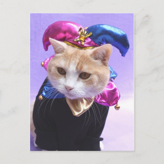 Carte Postale Kitty Jester (Devant)