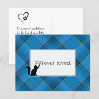 Kitty Pet Perdre la Sympathie de Vet