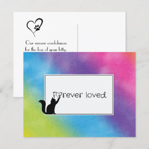 Carte Postale Kitty Pet Perdre la Sympathie de Vet
