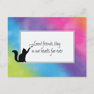Carte Postale Kitty Pet Perdre la Sympathie de Vet