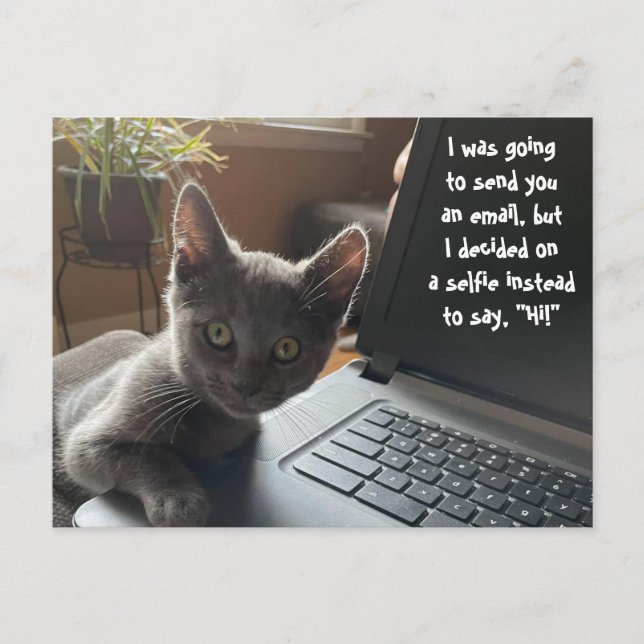 CARTE POSTALE KITTY SELFIE HELLO (Devant)