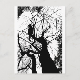 CARTE POSTALE KITTY TREE SILHOUETTE B&W