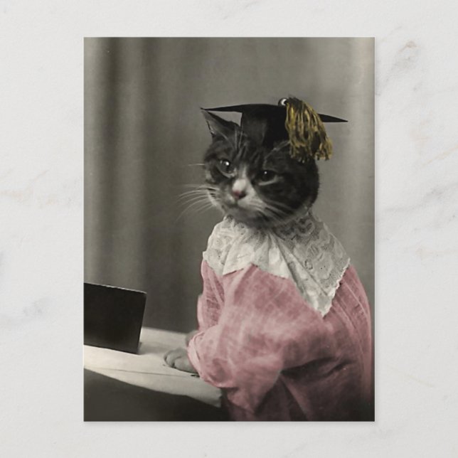 Carte Postale Kitty Valedictorian (Devant)