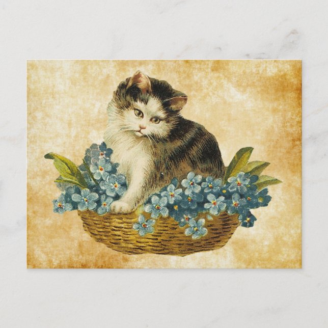 Carte Postale Kitty vintage dans le panier (Devant)