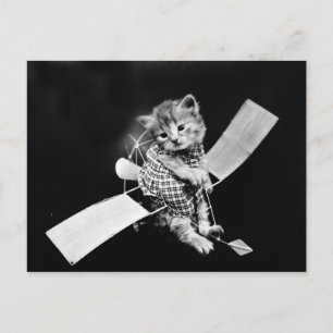 Carte Postale Kitty volant Vintage noir et blanc