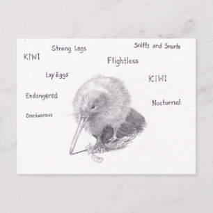 Carte Postale Kiwi dehors pour une promenade