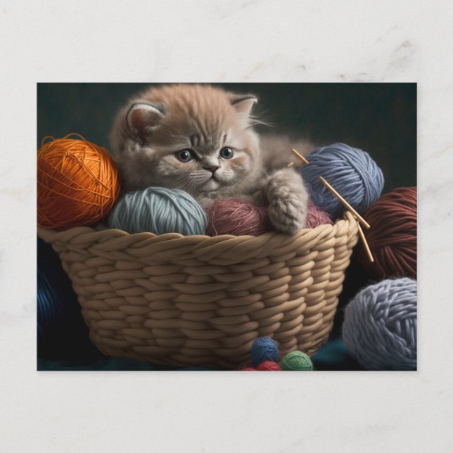 Carte Postale Knitting cat postcard (Devant)