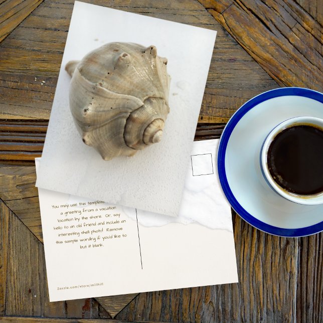 Carte Postale Knobbed Whelk Seashell Photography Postcard (Créateur téléchargé)