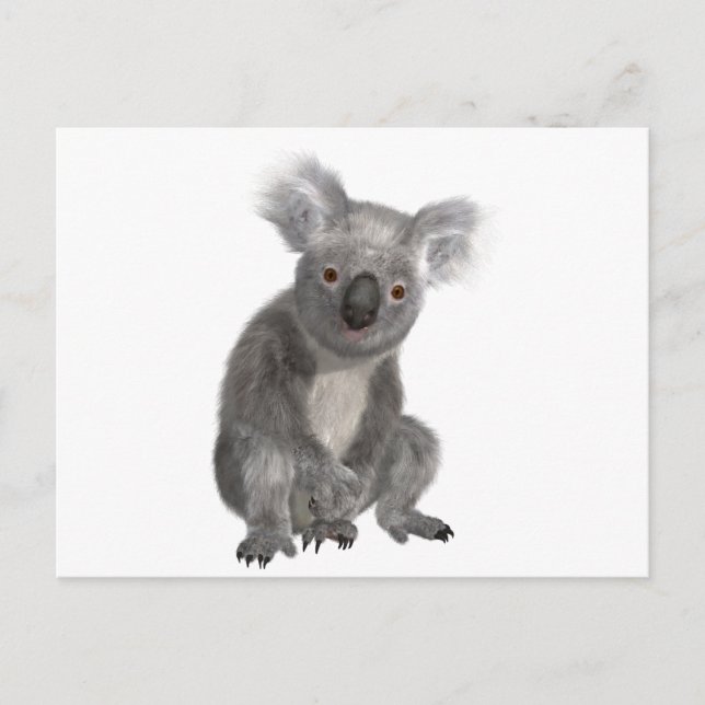 Carte Postale Koala (Devant)