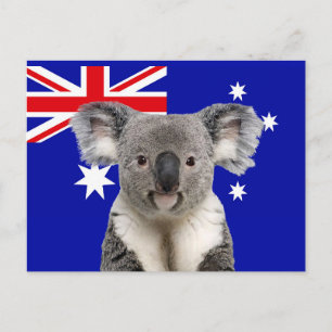 Carte Postale Koala avec fond de drapeau australien   