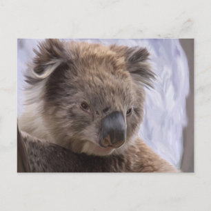 Carte Postale Koala Bear