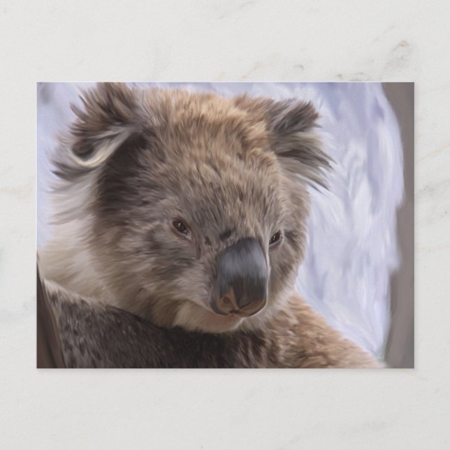 Carte Postale Koala Bear (Devant)