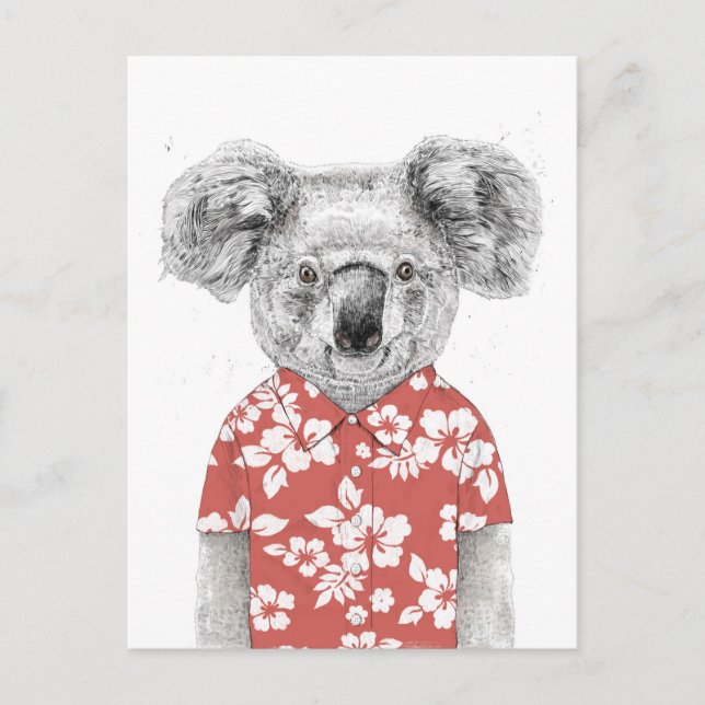 Carte Postale Koala d'été (rouge) (Devant)