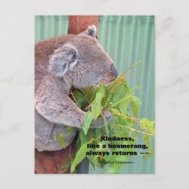 Carte postale Koala Kindness Quote