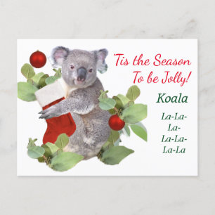 Carte postale Koalas Christmas