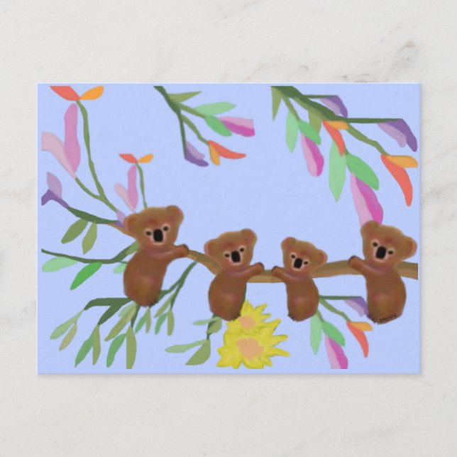 Carte Postale Koalas se bloque (Devant)