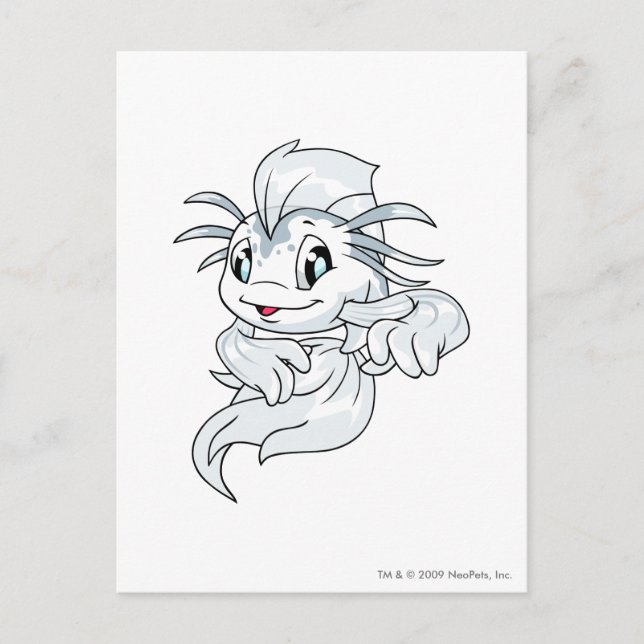 Carte Postale Koi White (Devant)