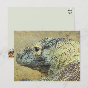 Carte Postale Komodo Dragon