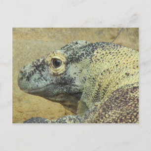 Carte Postale Komodo Dragon