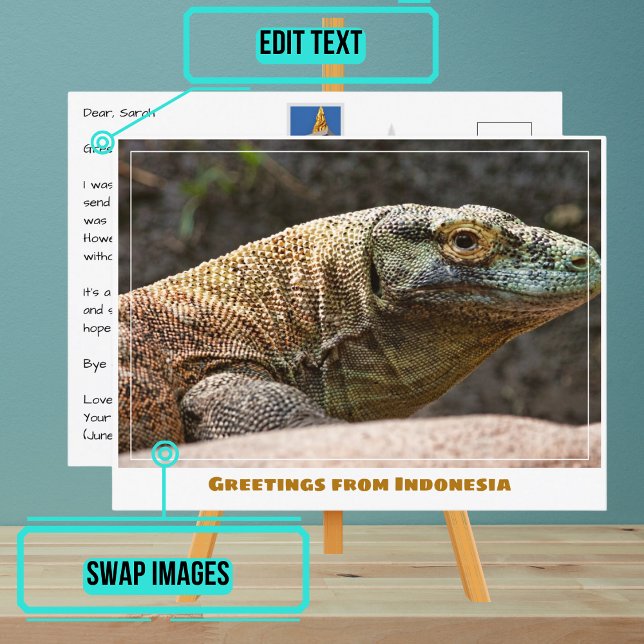 Carte Postale Komodo Dragon d'Indonésie moderne (Share your experiences with these stylish template postcards.)