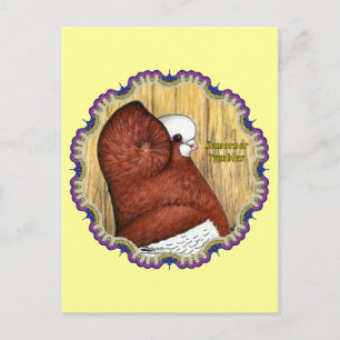 Carte Postale Komorner Tumbler Pigeon Bois
