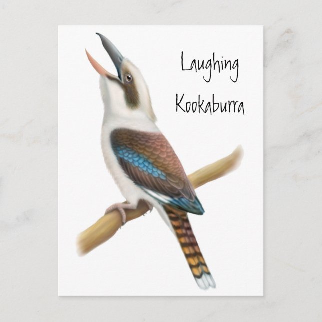 Carte postale Kookaburra qui rit (Devant)