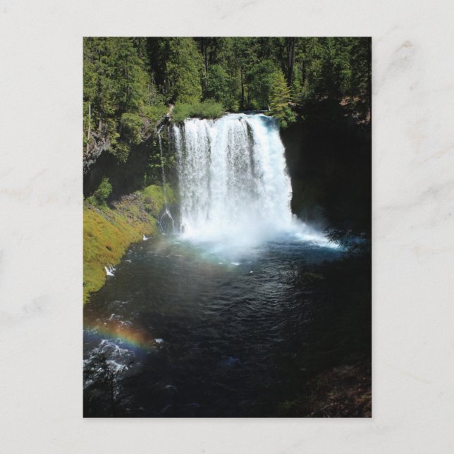 Carte postale Koosah Falls Oregon Waterfall (Devant)