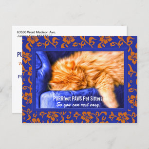 Carte Postale Kouch Kitty Custom Pet Sitter's Publicité Postca