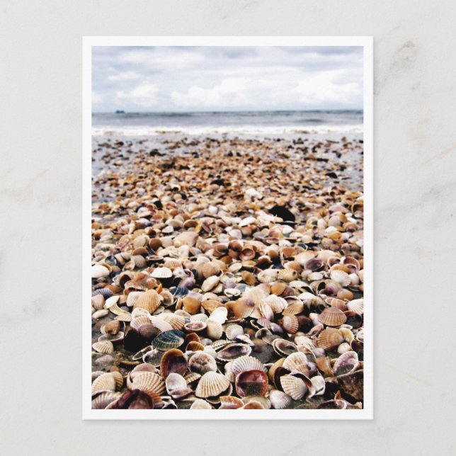 Carte Postale Krabi Thaïlande | Coquillages sur la Postcar de bo (Devant)