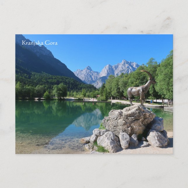 Carte Postale Kranjska Gora Slovénie (Devant)