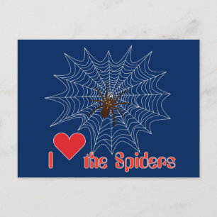 Carte Postale Kreuzspinne im Netz