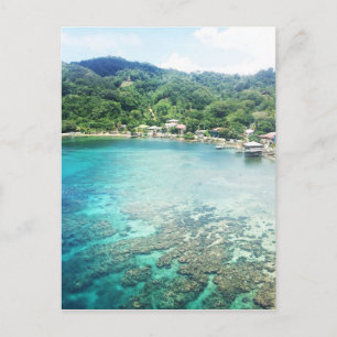 Carte Postale La barrière de corail de Grand Cayman