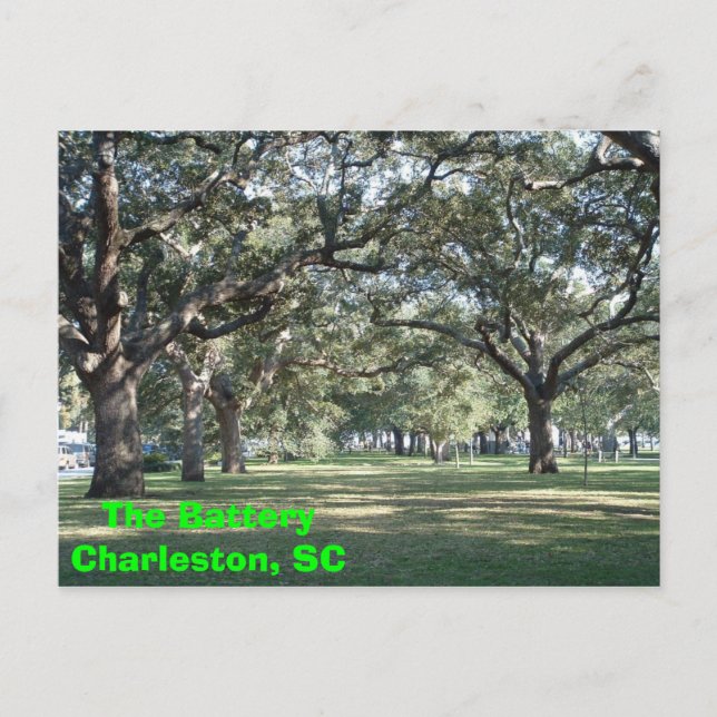 Carte Postale La batterie (Devant)