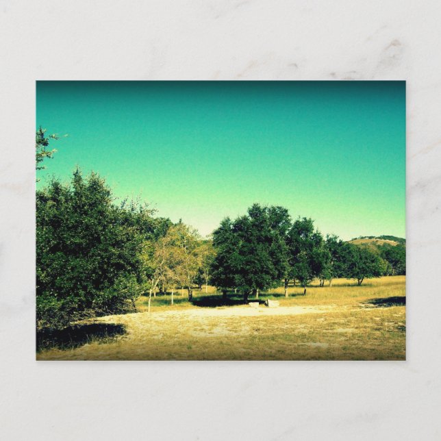 Carte Postale La Beauté De Bandera Texas Postcard #2 (Devant)