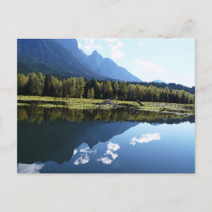 Carte Postale La beauté de la nature reflétée