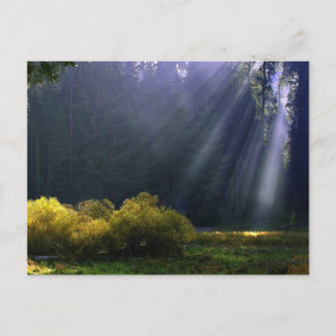 Carte Postale La beauté de Mère Nature
