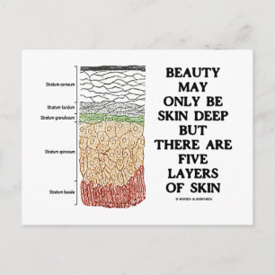 Carte Postale La Beauté Peut Être Profonde De La Peau Mais Cinq