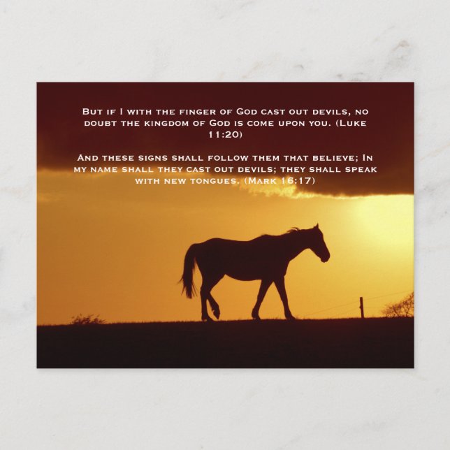 Carte Postale La Bible versets, un cheval au coucher du soleil (Devant)
