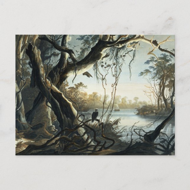 Carte Postale La bouche de la Fox River, Indiana, plaque 5 de (Devant)