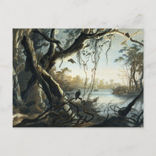 Carte Postale La bouche de la Fox River, Indiana, plaque 5 de