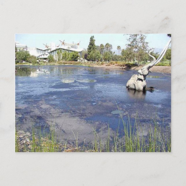 Carte Postale La Brea Tarpits Les Musées Des Étangs (Devant)